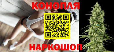 mdpv Заводоуковск