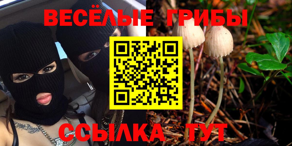 Псилоцибиновые грибы мухоморы Ялта